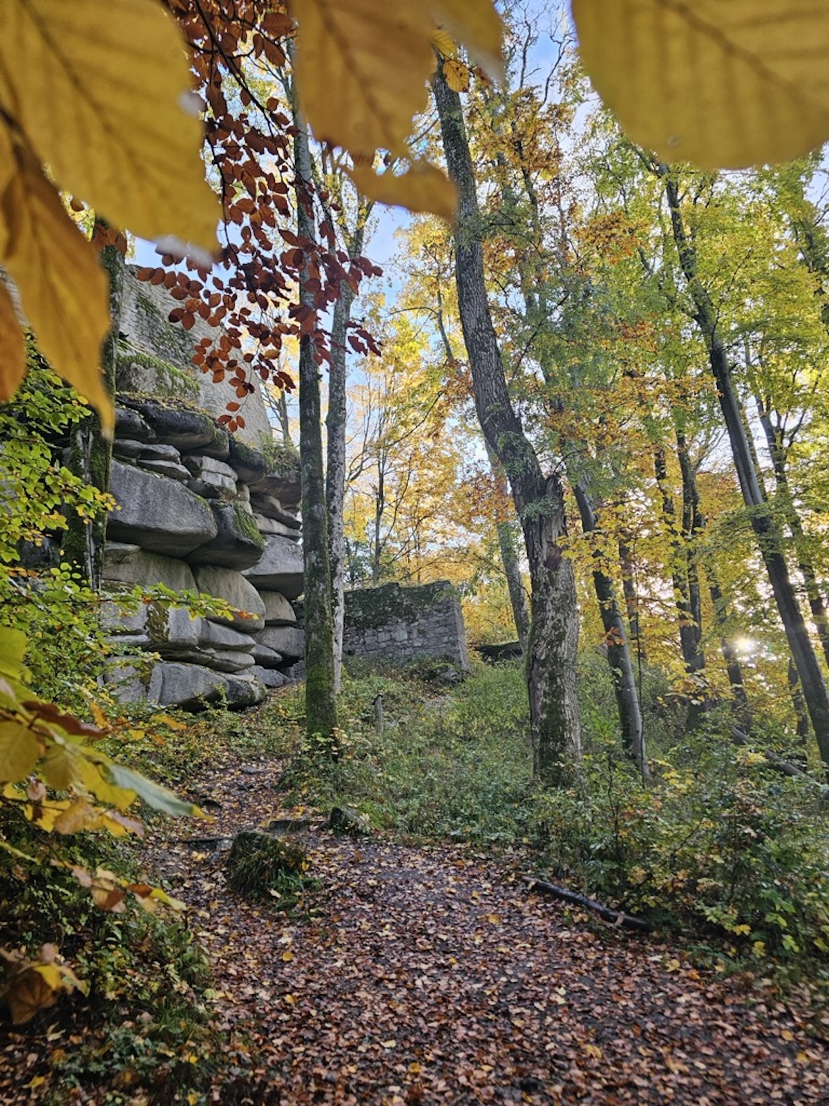 Foto 13