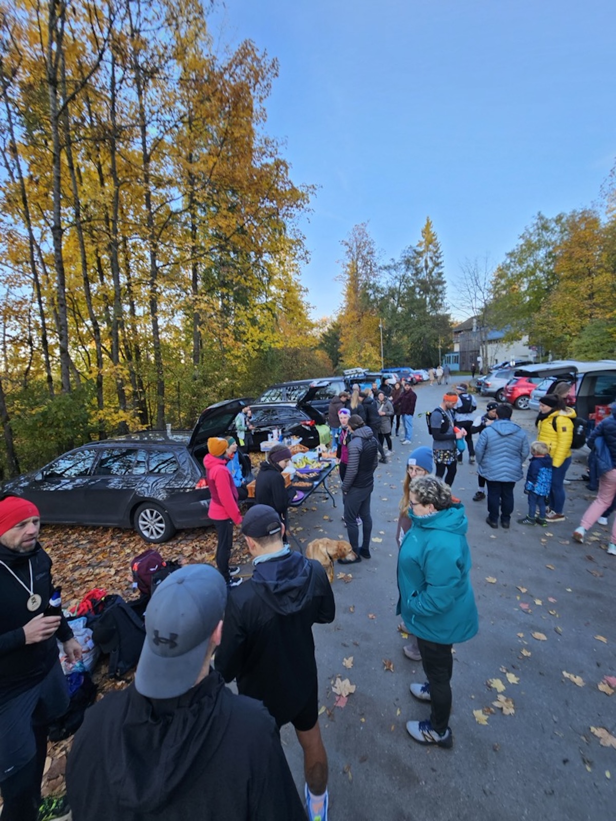Foto 40